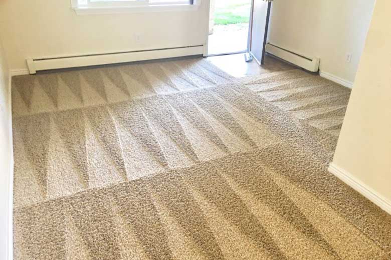 Carpet Cleaning Florence SC